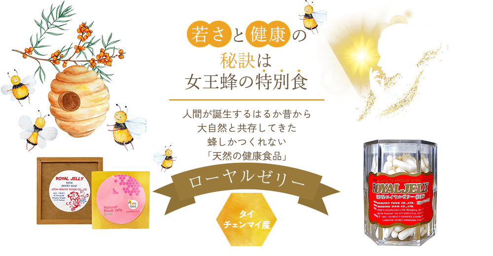 若さと健康の秘訣は女王蜂の特別食｜人間が誕生するはるか昔から大自然と共存してきた蜂しかつくれない「天然の健康食品」ローヤルゼリー｜タイ チェンマイ産
