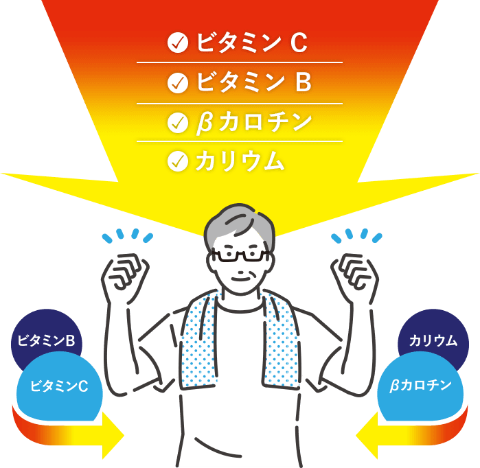 ビタミンC が不足すると…
