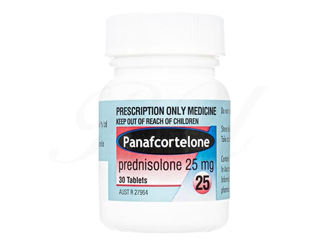 [プレドニン同成分]パナフコルテロン25mg 【1本30錠】