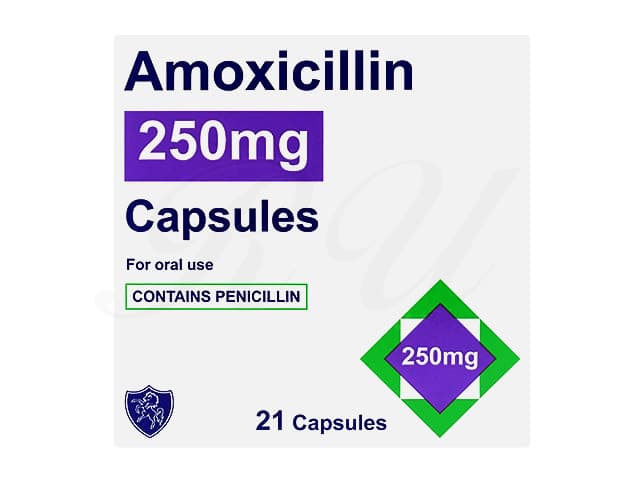 [サワシリンジェネリック]アモキシシリン250mg 【1箱21カプセル】