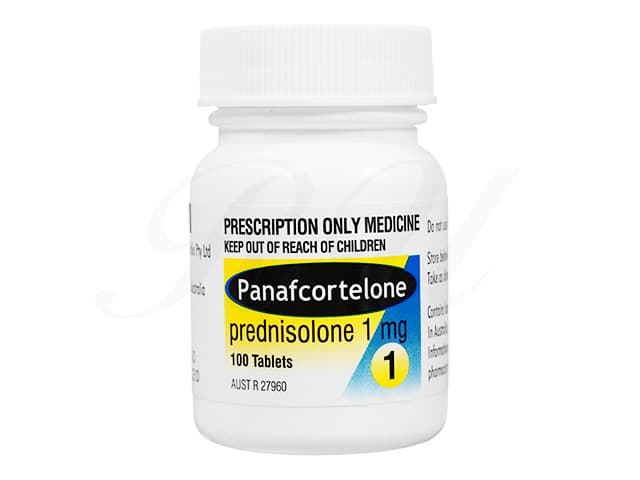 パナフコルテロン1mg 【1本100錠】