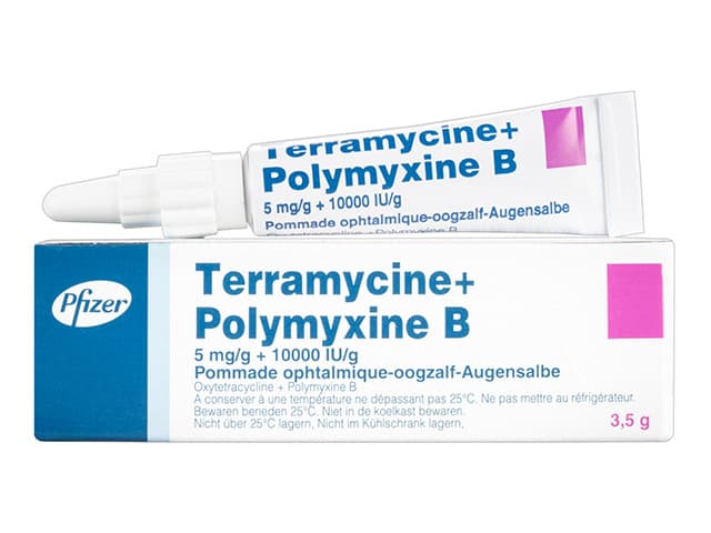 テラマイシン＋ポリミキシンB眼軟膏5mg+10000IU 【1本3.5g】