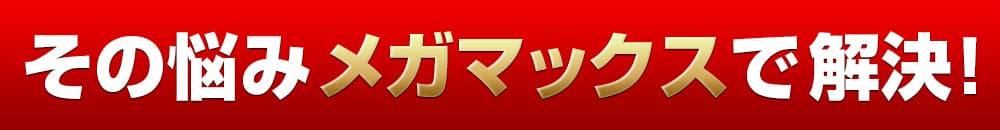 そんな悩みメガマックスで解決!